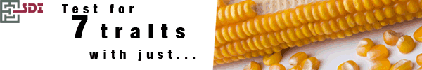 SDI